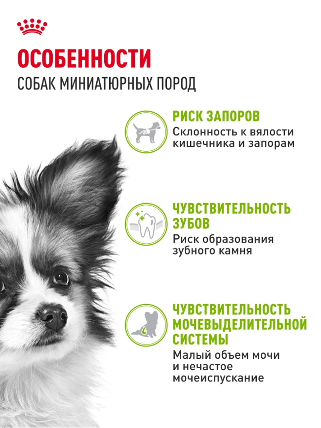 Сухой корм Royal Canin X-Small Adult для собак, 1.5 кг фото 14