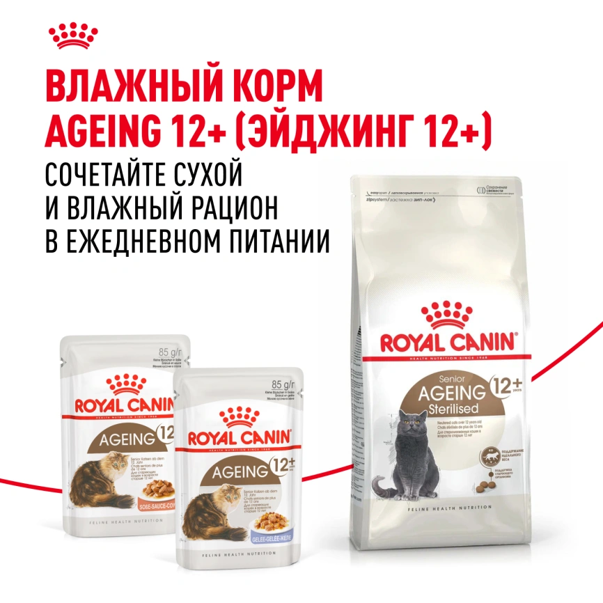 Сухой корм Royal Canin Ageing Sterilised 12+ для стерилизованных кошек старше 12 лет, 4 кг фото 8
