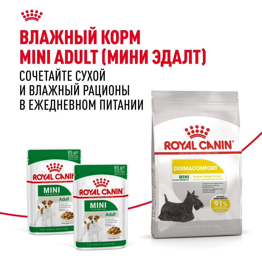 Сухой корм Royal Canin Mini Dermacomfort для собак, 1 кг фото 8