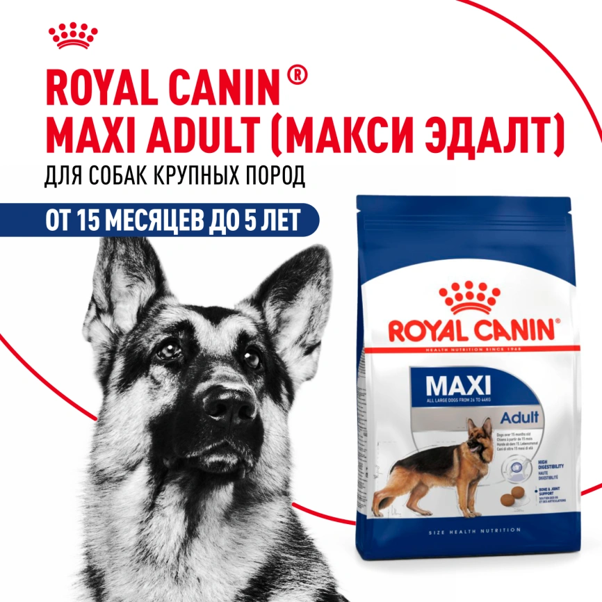 Сухой корм Royal Canin Maxi Adult для собак, 15 кг фото 12
