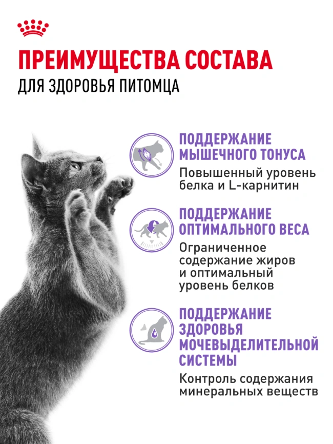 Сухой корм Royal Canin Sterilised для кастрированных котов и стерилизованных кошек, 400 г фото 22