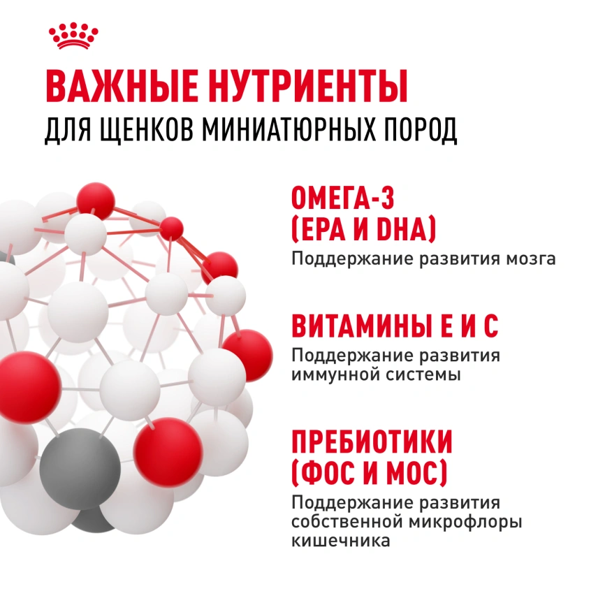 Сухой корм Royal Canin X-Small Puppy для щенков, 3 кг фото 6