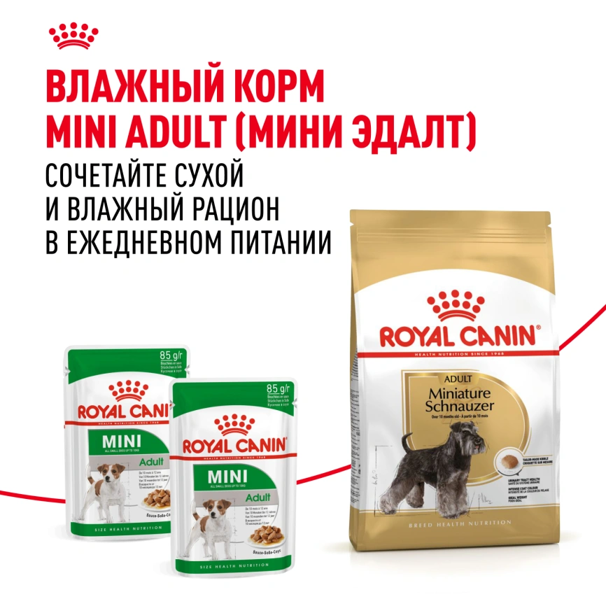 Сухой корм Royal Canin Miniature Schnauzer Adult для собак породы миниатюрный шнауцер, 3 кг фото 8