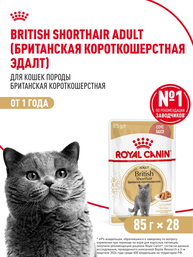 Влажный корм Royal Canin British Shorthair в соусе для кошек породы британская короткошерстная и шотландская вислоухая старше 1 года, пауч, 85 г фото 17