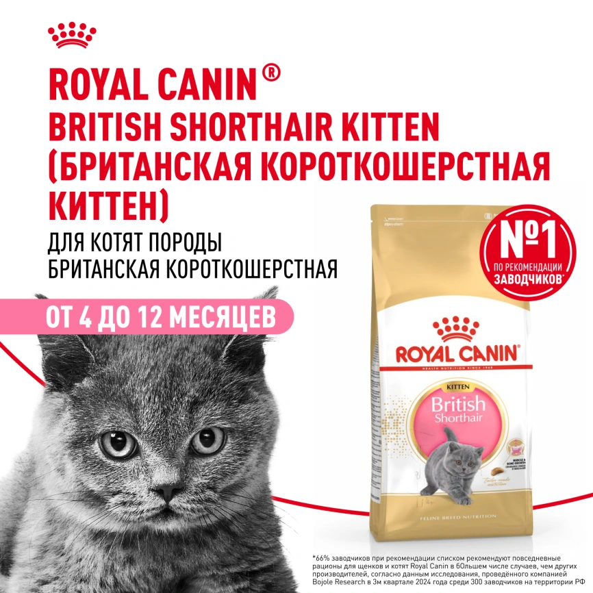 Сухой корм Royal Canin Kitten British Shorthair для котят, 2 кг фото 13