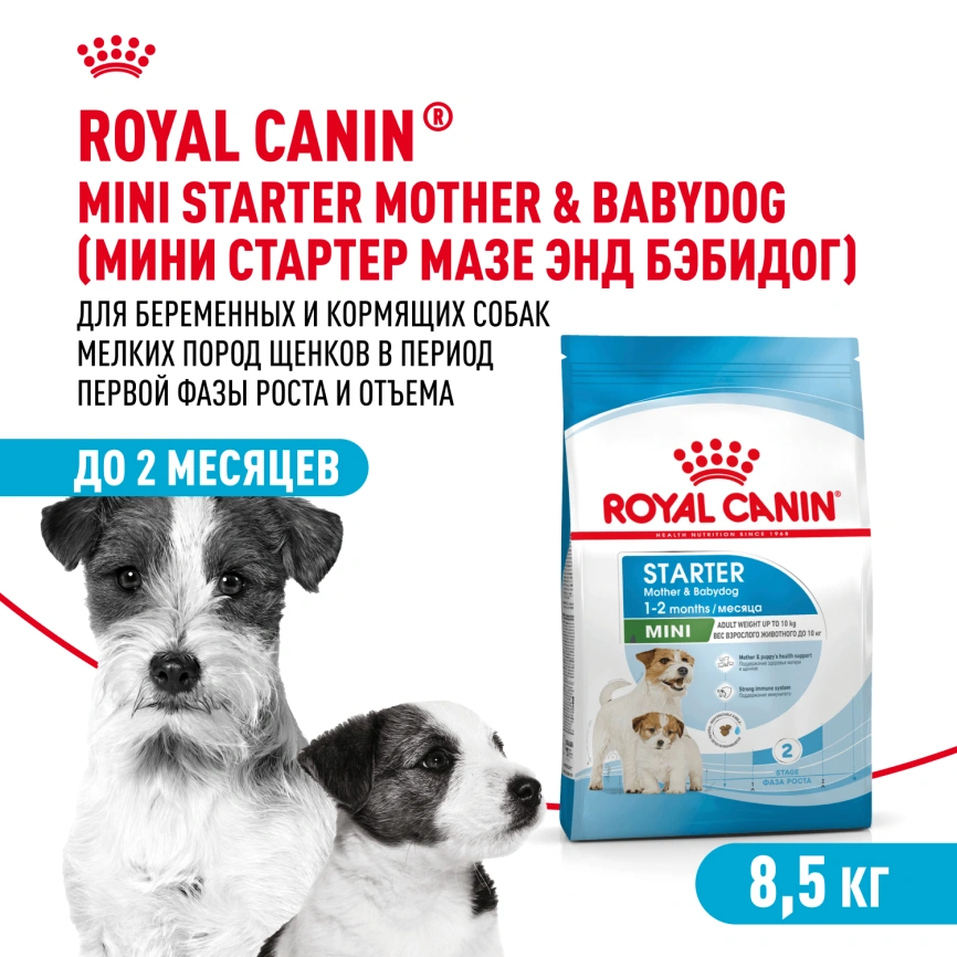 Сухой корм Royal Canin Mini Starter Mother &  Babydog для щенков и кормящих сук, 8,5 кг фото 1