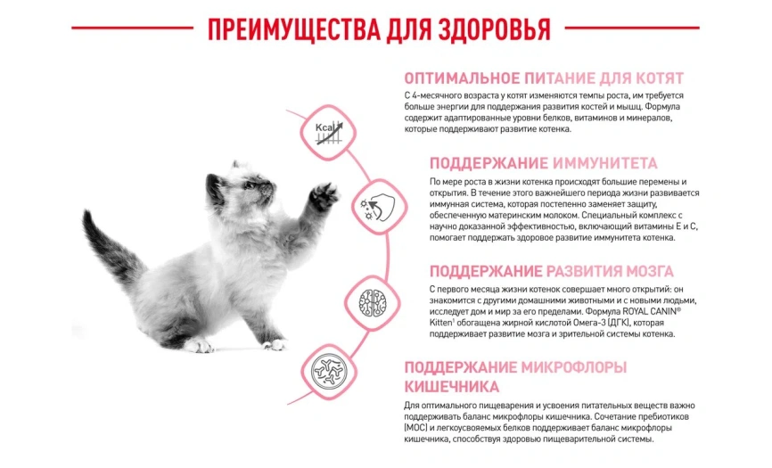Сухой корм Royal Canin Kitten для котят, 300 г фото 4