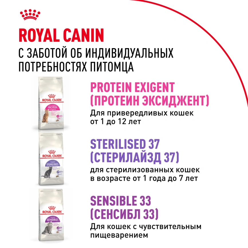 Сухой корм Royal Canin Savour Exigent для кошек, 4 кг фото 10