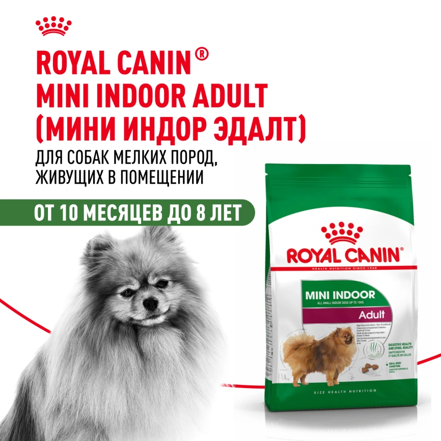 Сухой корм Royal Canin Mini Indoor Adult для собак, 500 г фото 13