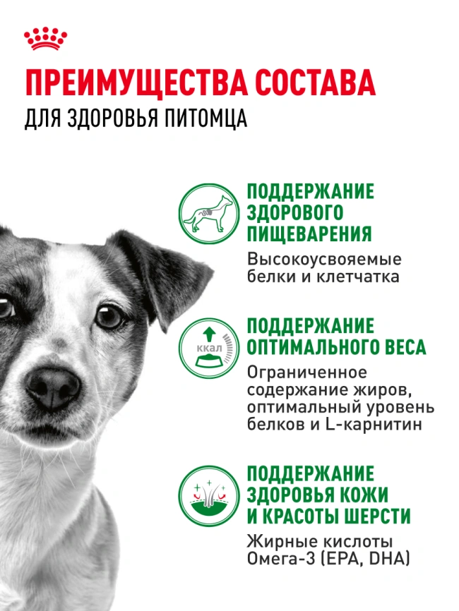 Влажный корм Royal Canin Mini Adult в соусе для взрослых собак мелких пород старше 10 месяцев, пауч, 85 г фото 3