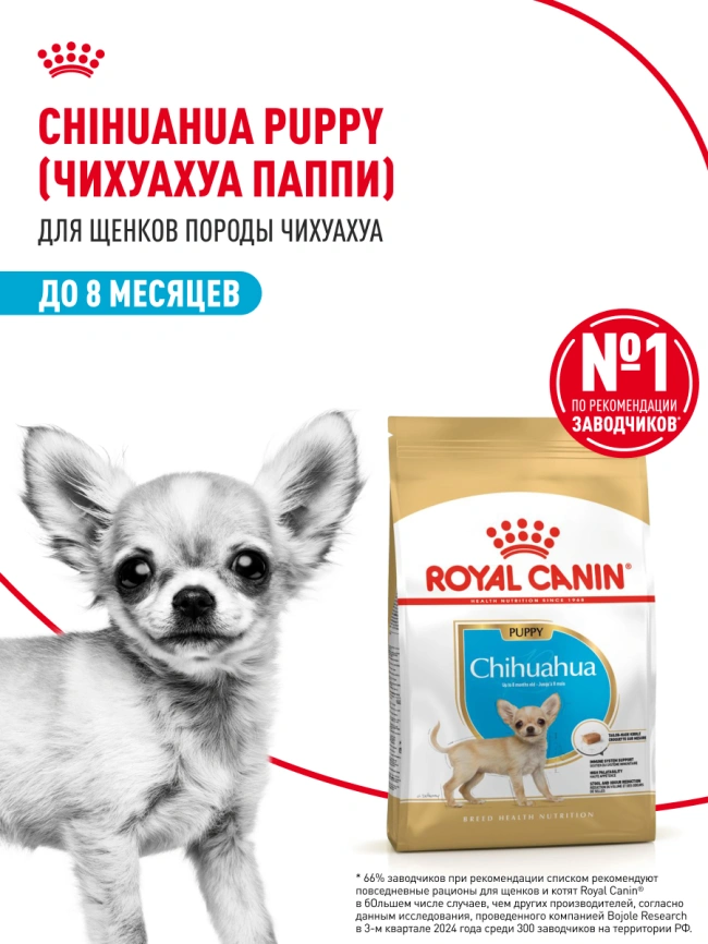 Сухой корм Royal Canin Chihuahua Puppy для щенков породы чихуахуа, 500 г фото 14