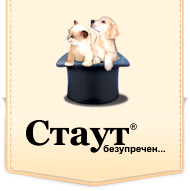 Стаут