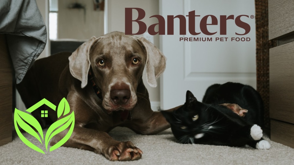 Премиальное питание Banters — теперь в нашем магазине!